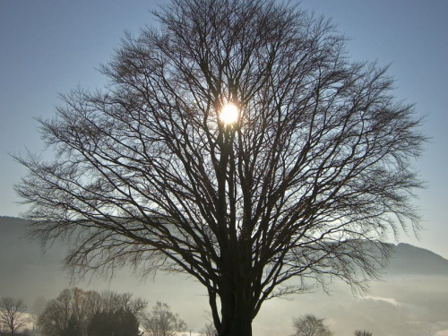 Photo by Getty Images / iStockphoto